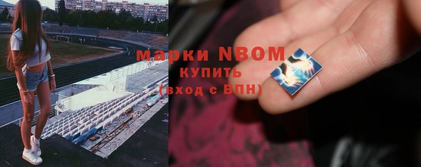 индика Абаза