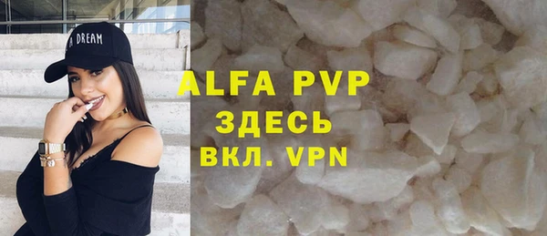 индика Абаза