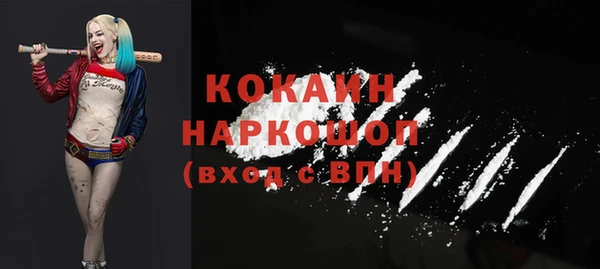 индика Абаза
