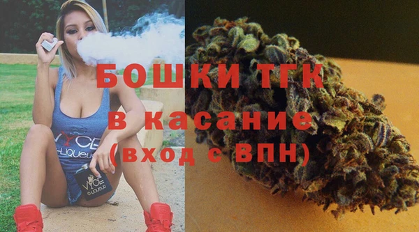 индика Абаза