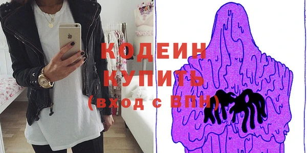 индика Абаза