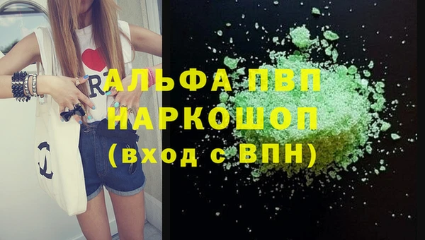 индика Абаза