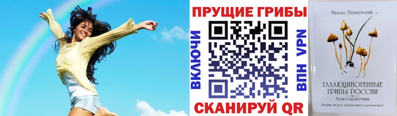 купить  сайты  mega ТОР  Псилоцибиновые грибы ЛСД  Ржев 