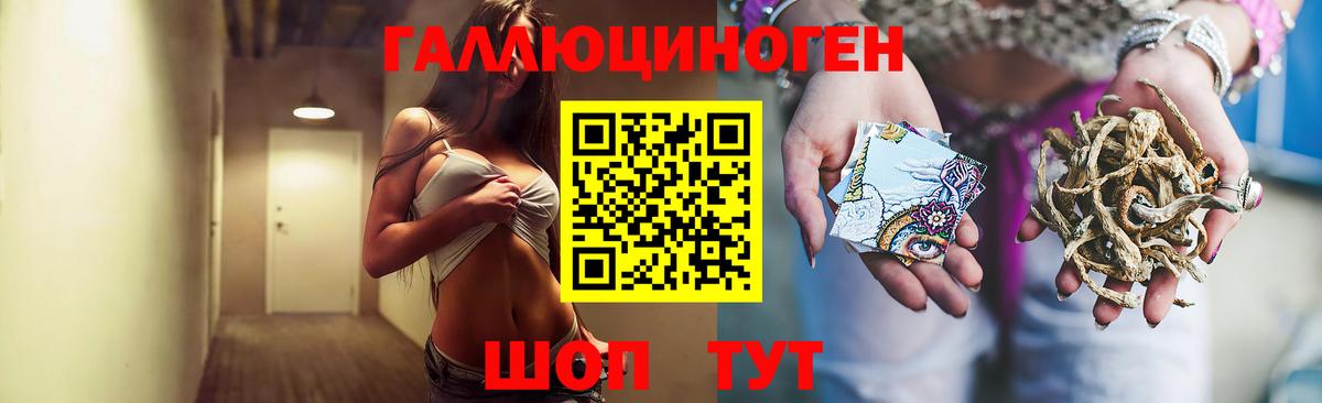 Галлюциногенные грибы GOLDEN TEACHER  Вход с VPN  Галлюциногенные грибы Cubensis  Ржев 