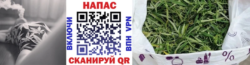 наркота  Ржев  hydra рабочий сайт  Канабис OG Kush 