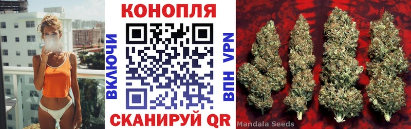 Конопля White Widow Ржев