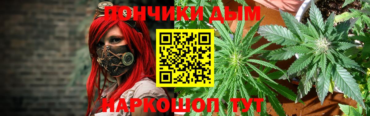 МАРИХУАНА ГИДРОПОН Ржев